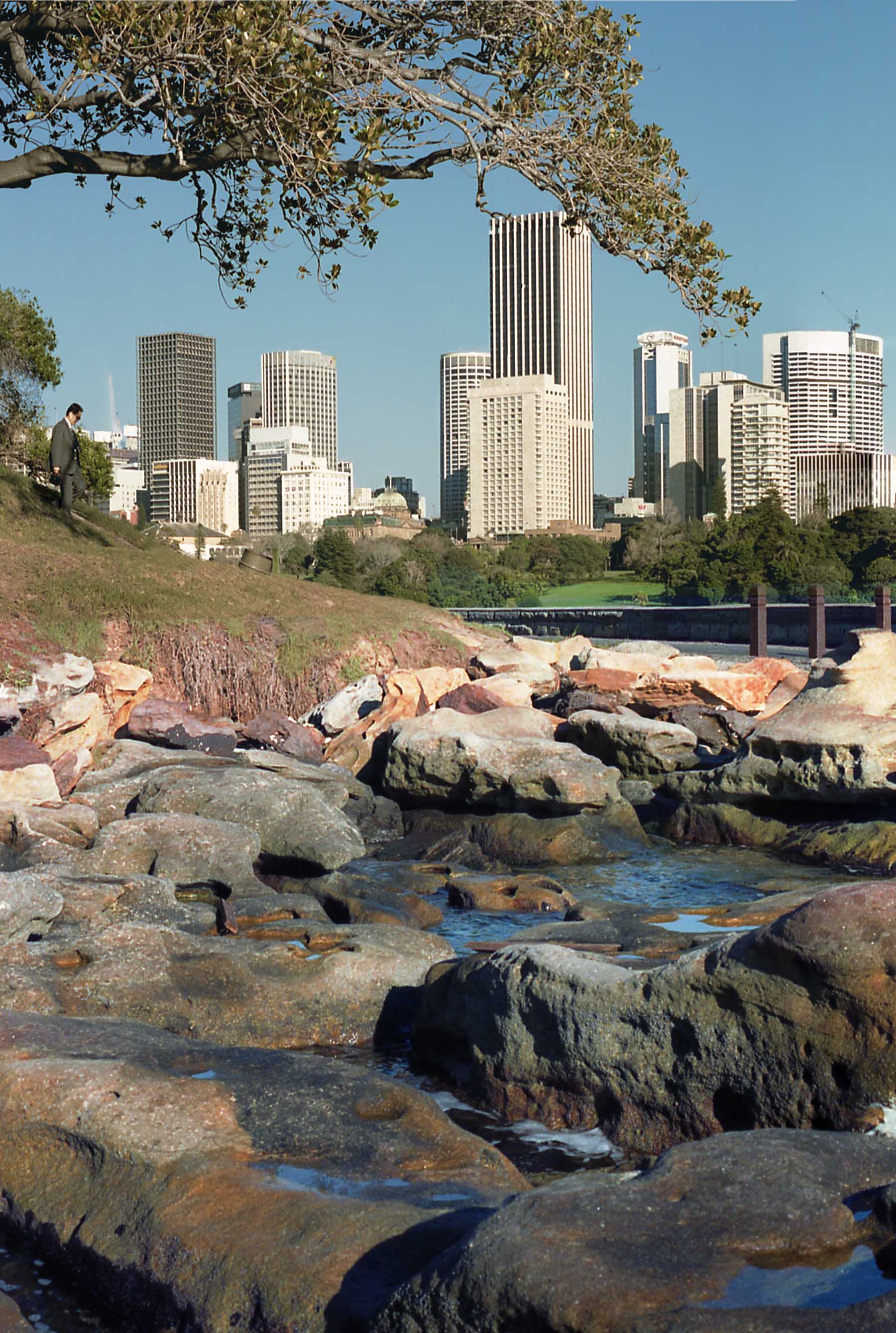 View of a solitary tourist checking Mrs. Macquarie's Point near the Sydney skyline.